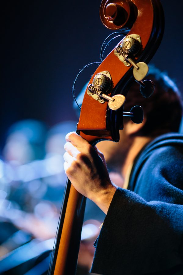 Contrabass