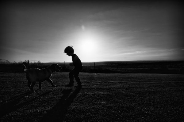 A dog and its friend