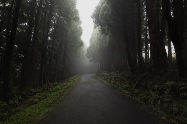 Foggy Azores